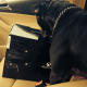 Illustration for article titled Look At These Dogs And Cats Confused By Xbox One